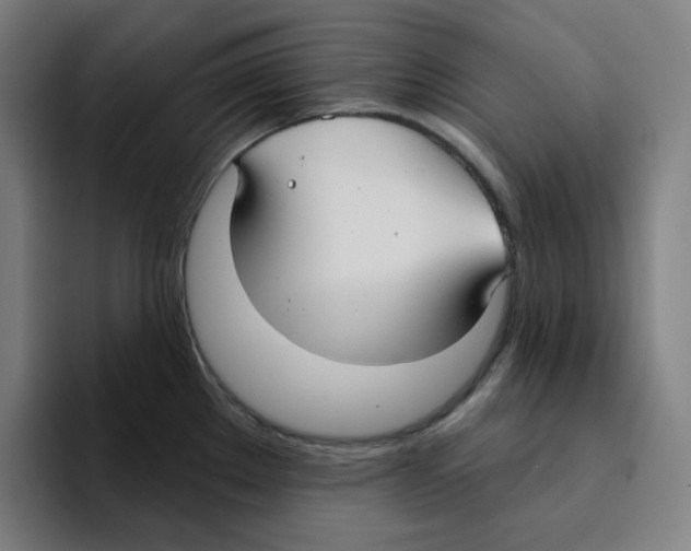 X0000094921289200712271525