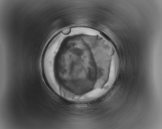 X0000094921291200712271525