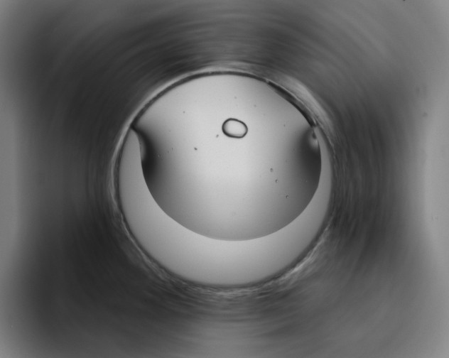 X0000094921292200712271525