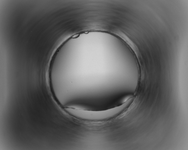 X0000094921293200712271525