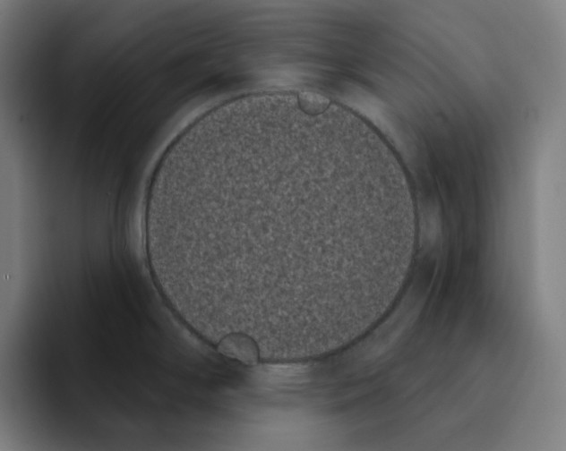 X0000094921294200712271525