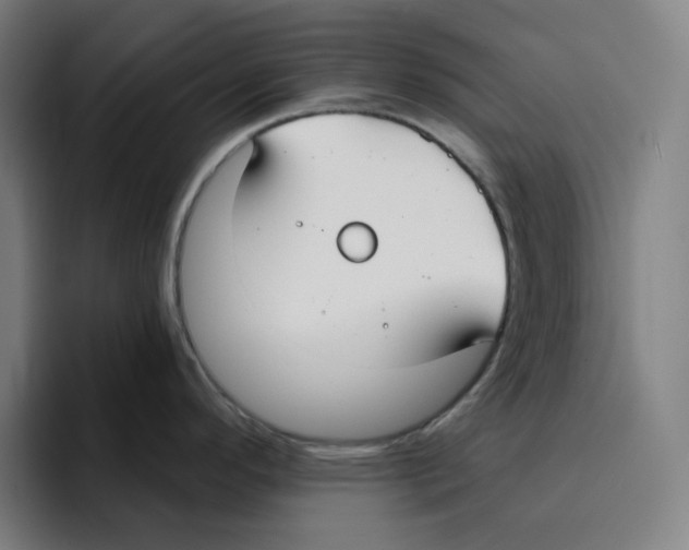 X0000094921296200712271525