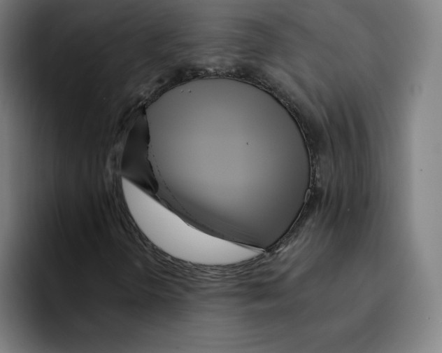 X0000094921298200712271524