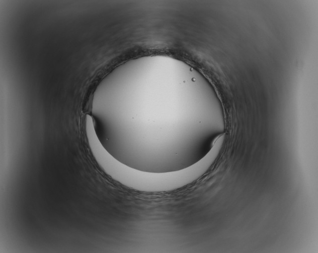 X0000094921301200712271524