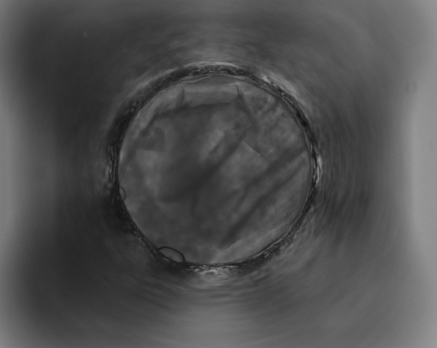 X0000094921303200712271524