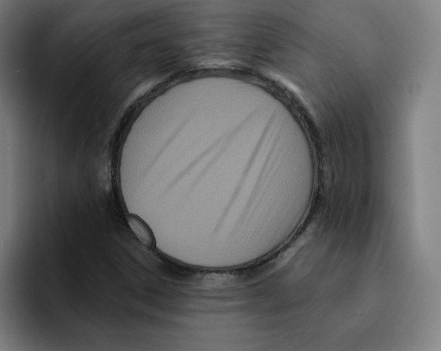 X0000094921306200712271524