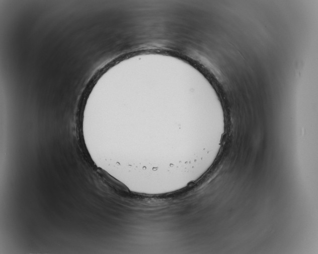X0000094921308200712271524