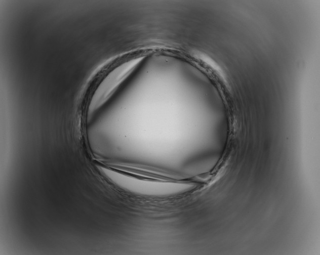 X0000094921310200712271525