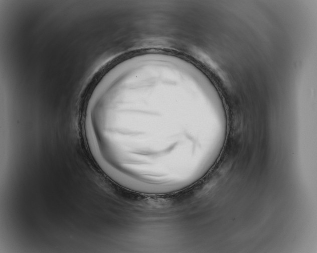 X0000094921312200712271525