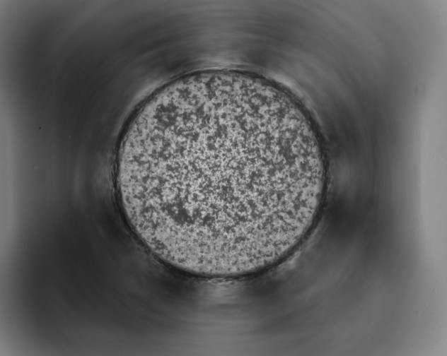 X0000094921314200712271525