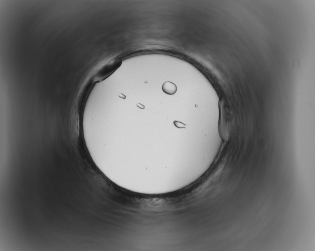X0000094921317200712271525