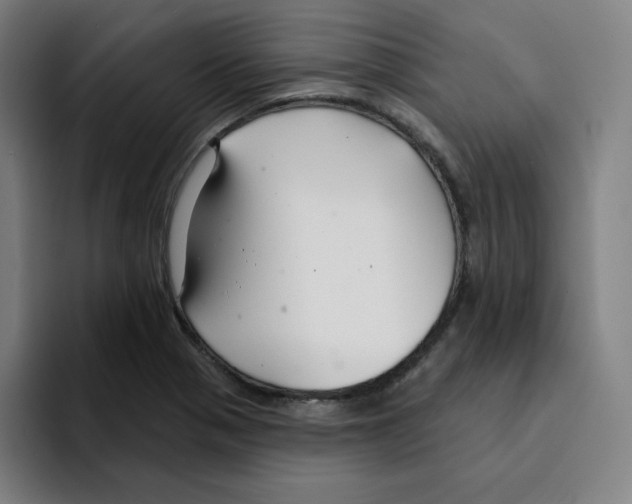 X0000094921321200712271525