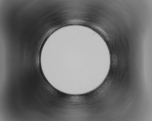 X0000094921322200712271525