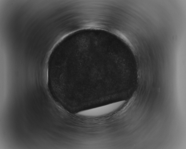 X0000094921323200712271525