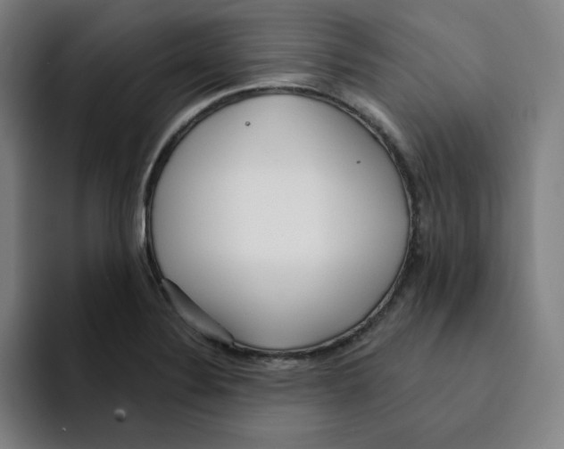 X0000094921324200712271525
