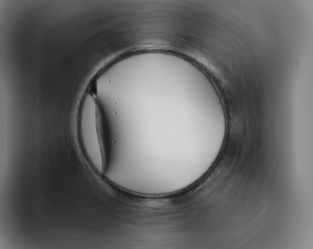 X0000094921325200712271525