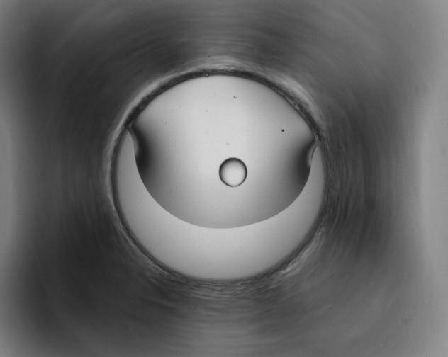 X0000094921326200712271525