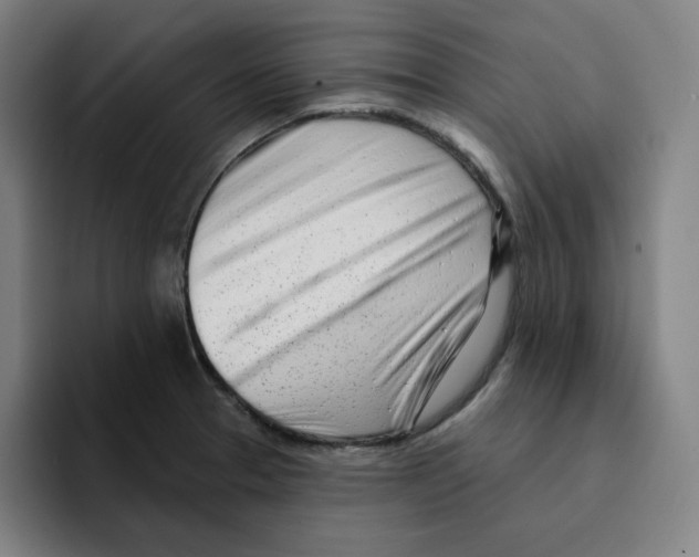 X0000094921329200712271525
