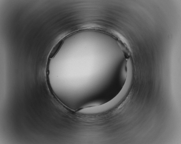 X0000094921330200712271525
