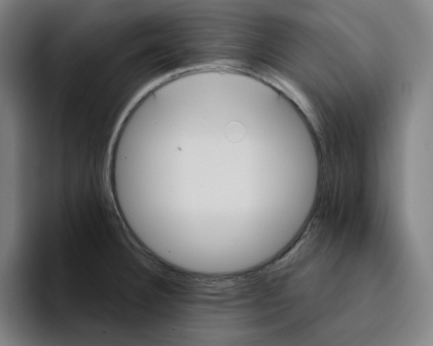 X0000094921332200712271525