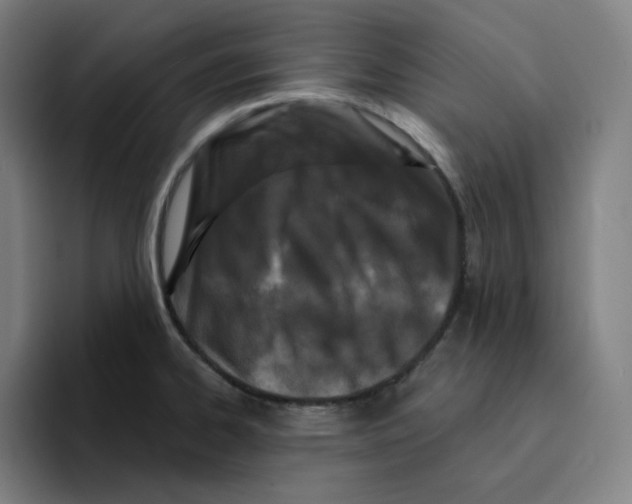 X0000094921334200712271525