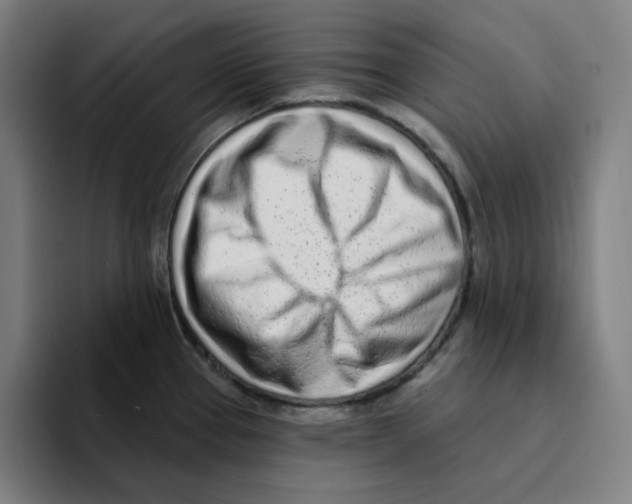 X0000094921337200712271525