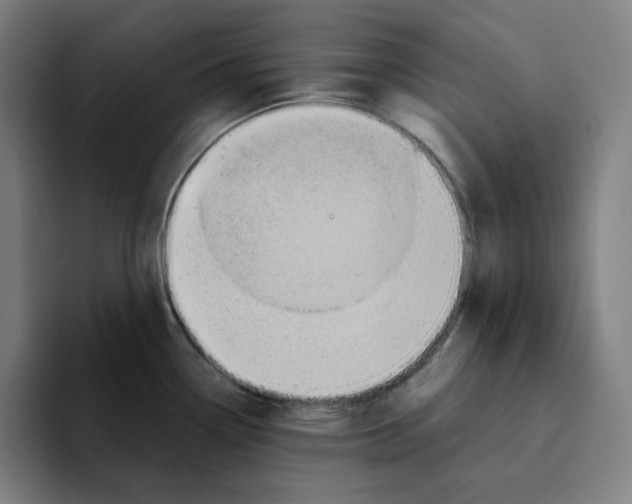 X0000094921338200712271525