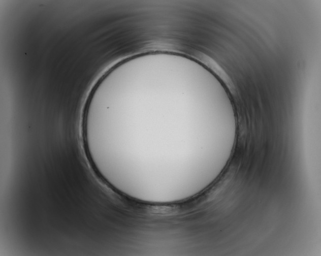 X0000094921339200712271525