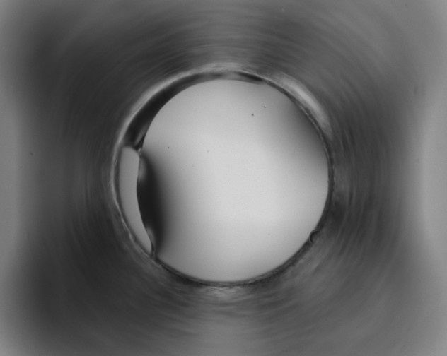 X0000094921340200712271525