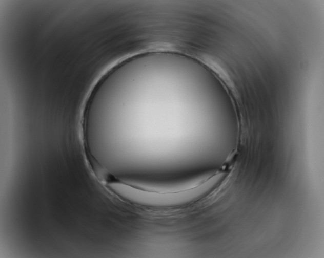 X0000094921342200712271525