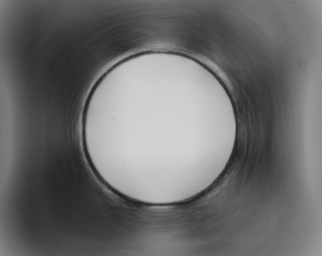 X0000094921343200712271525