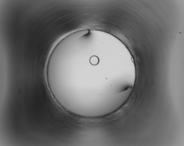 X0000094921344200712271525