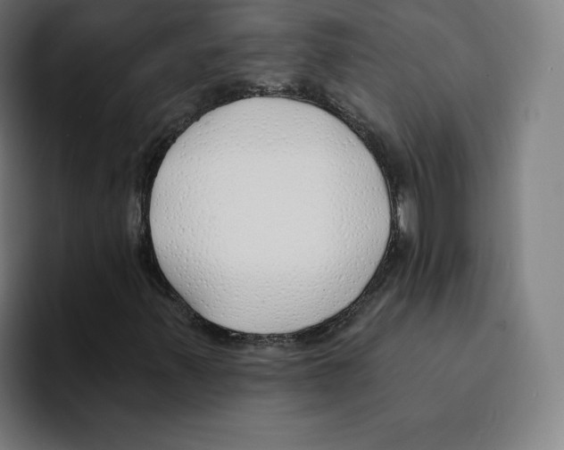 X0000094921347200712271524