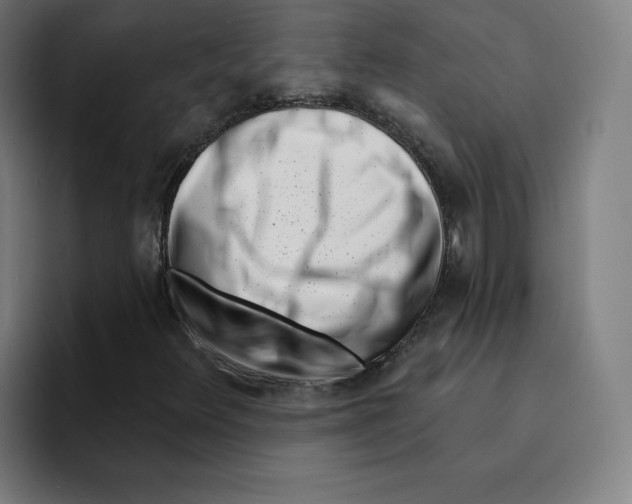 X0000094921348200712271524