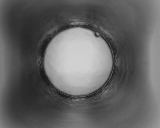 X0000094921351200712271524