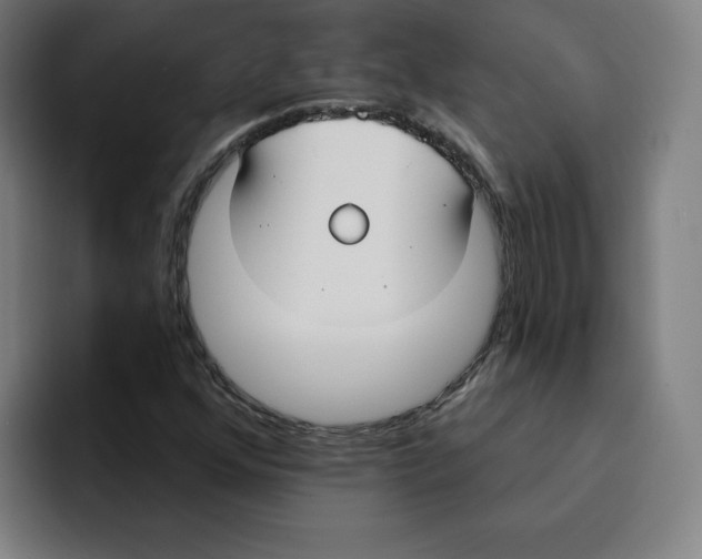 X0000094921352200712271524