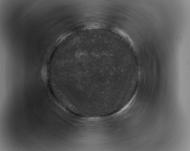 X0000094921353200712271524