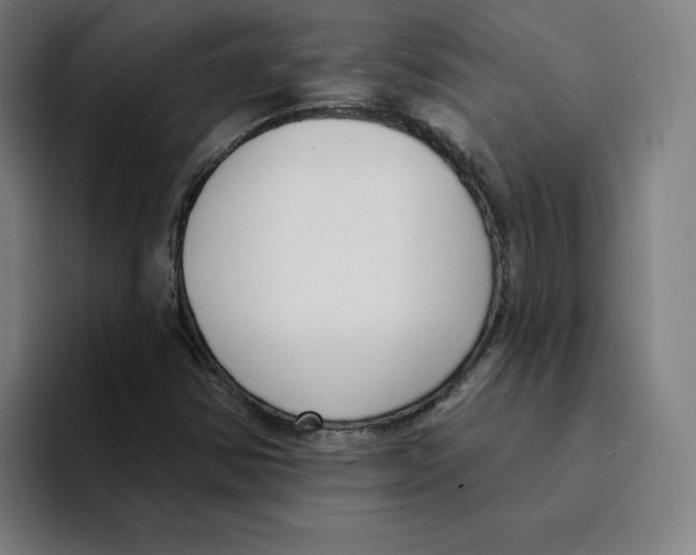 X0000094921354200712271524