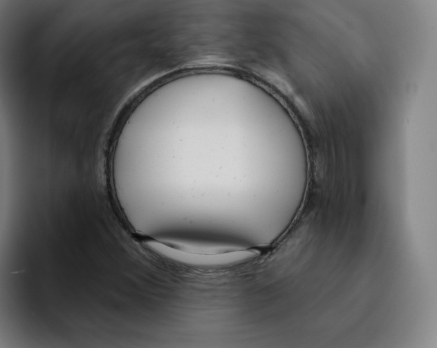 X0000094921356200712271524