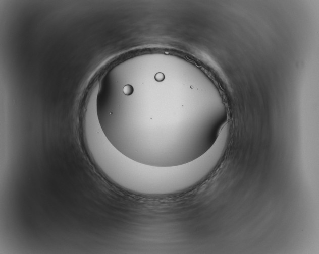 X0000094921360200712271524