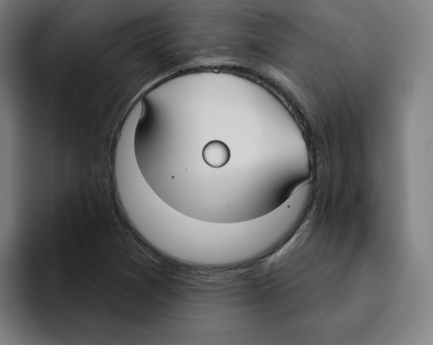 X0000094921361200712271524