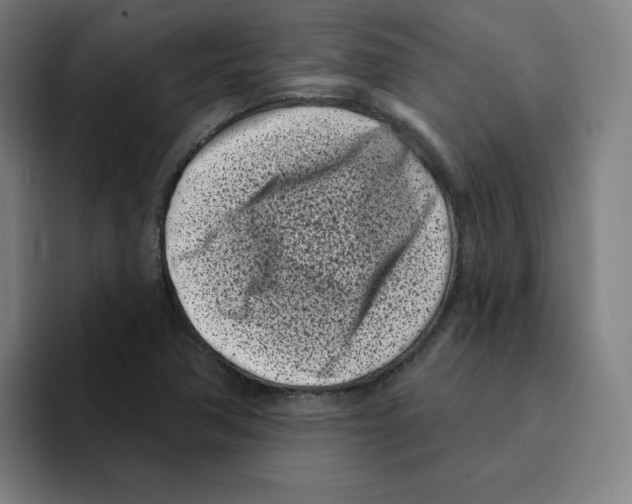 X0000094921362200712271524