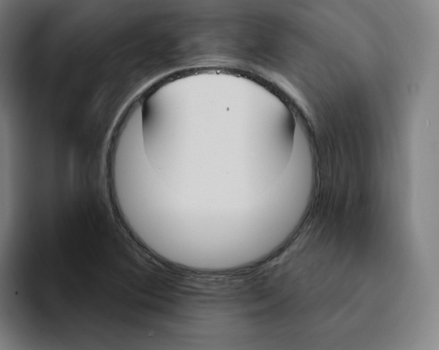 X0000094921364200712271524