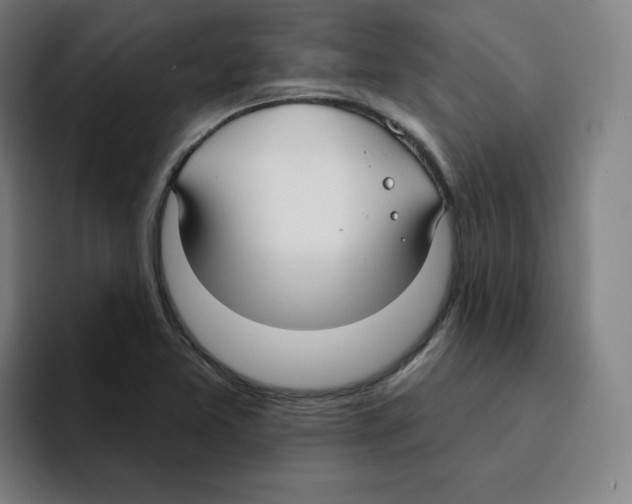 X0000094921365200712271524