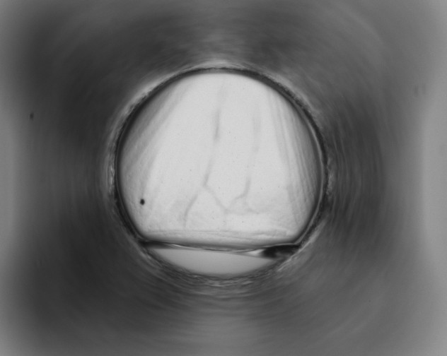 X0000094921367200712271524