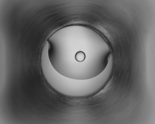X0000094921369200712271524