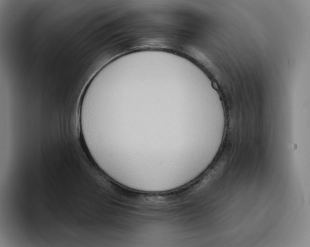 X0000094921370200712271524