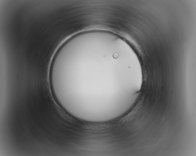 X0000094921372200712271524