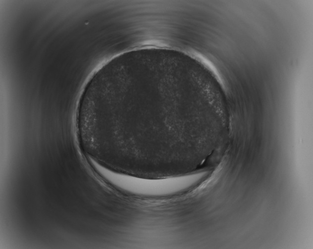 X0000094921373200712271524