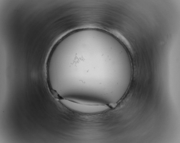X0000094921380200712271524